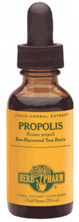 Propolis Propolis